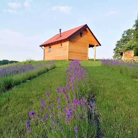 Lesena Hiska Cebelnjak Holiday home Loce pri Poljcanah