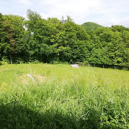 Jelenova Lesena Hiska