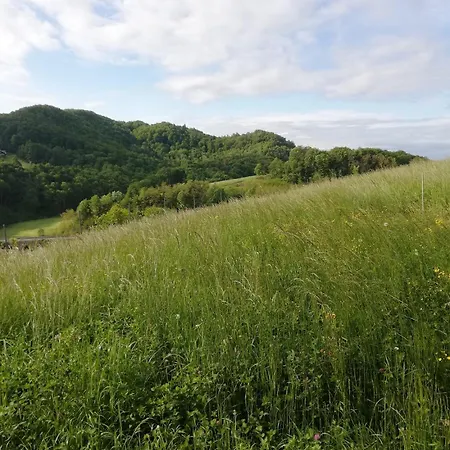 Jelenova Lesena Hiska * Loče pri Poljčanah