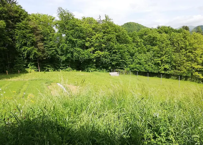 Jelenova Lesena Hiska