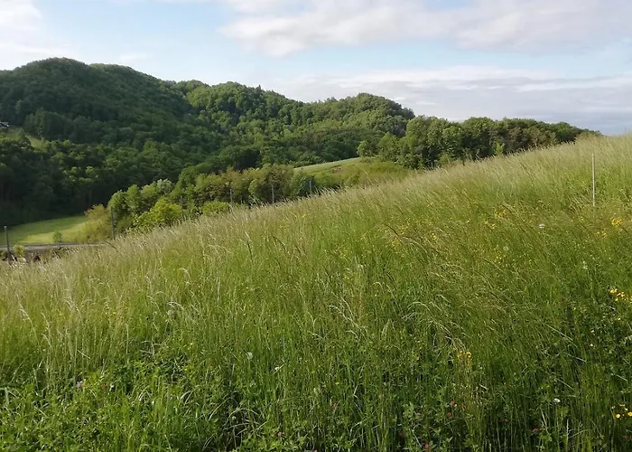 Jelenova Lesena Hiska * Loče pri Poljčanah